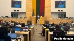 Выступае Сьвятлана Ціханоўская.