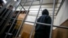 Правительство РФ разрешило прекращать дела участников войны на стадии суда