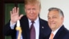 Дональд Трамп и Виктор Орба