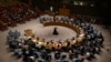 The UN Security Council (file photo)