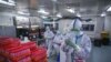 Китай отказался проверять теорию об утечке коронавируса из лаборатории