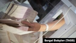 Предварительное голосование по определению кандидатов от партии "Единая Россия" (архивное фото)