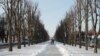 Мешканці міста активно обговорюють пропозицію мера про реконструкцію бульвару імені Тараса Шевченка