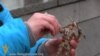 Звернення українських дітей до Путіна