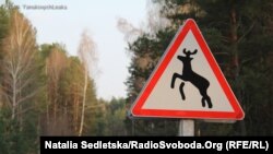 Ілюстраційне фото, Мислівські угіддя «Рубіж» 