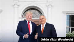 Дональд Трамп и Виктор Орбан