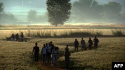 Migrantët duke kaluar nga Greqia për në Maqedoni të Veriut. Fotografi ilustruse nga arkivi.
