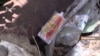 Як у Криму зі свинями воювали? Кримський рік за 25 хвилин (відео)