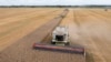 Slovak Agriculture Minister Jozef Bires said a joint declaration asking for the ban extension will help the European Commission to consider how much longer it should stay in place. (file photo)