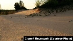 Прынёманскія дзюны пад Беражнам у Налібацкай пушчы. Фота С. Плыткевіча.