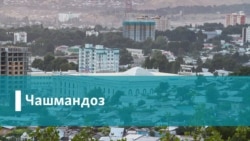 Русия моҳӣ, гӯшт, шир ва мева аз Амрико ва Аврупоро манъ кард