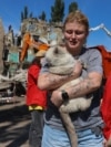 UKRAINE – A cat rescued from the rubble of a house attacked by the Russian army during the massive shelling of Kyiv. Kyiv, shelling, August 28, 2025