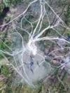 Ukraine Uses Net-Firing Drones To Snag Russian UAVs