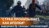 Picture for News 082925