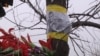 Якщо батьки схочуть покласти квіти – зробити це немає де – волонтери про місце загибелі пілота Су-25 (відео)