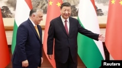 Chinese President Xi Jinping (right) welcomes Hungarian Prime Minister Viktor Orban at the Diaoyutai State Guesthouse in Beijing on July 8.