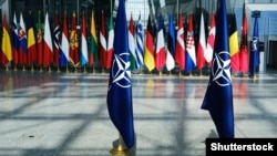 Flags of NATO and alliance member states are displayed at NATO headquarters in Brussels.