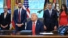 Президент Трамп и члены его кабинета